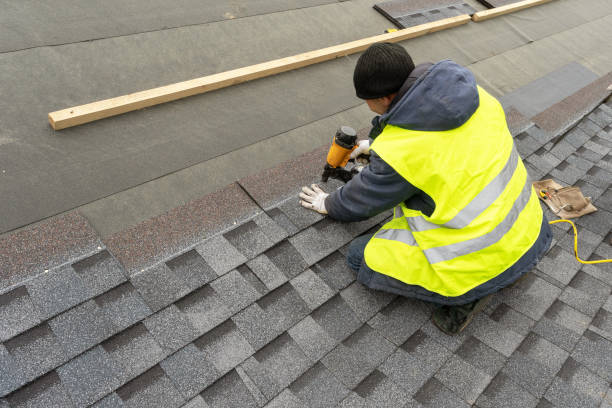 Best Storm Damage Roof Repair  in Theodore, AL