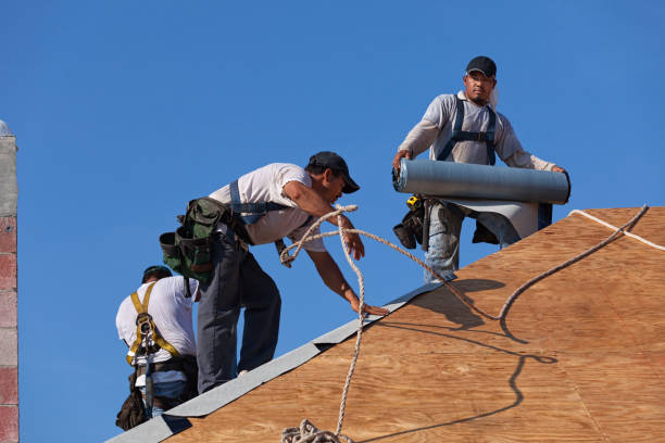 Roof Gutter Cleaning in Theodore, AL